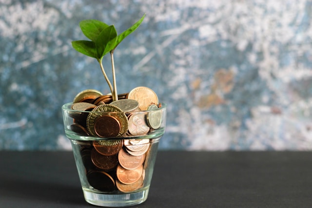Structuration du capital pour les entreprises privées